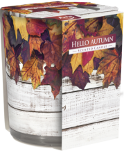 Obrázek k výrobku Bispol dekorativní vonná svíčka ve skle 100g Hello Autumn - Vítej podzime sn72s-43
