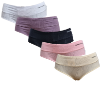 Obrázek k výrobku Fannifen Dámské bavlněné kalhotky s vysokým pasem CZ8003 ,5 barev v balení  - 1x-XL, 7x-2XL, 4x-3XL