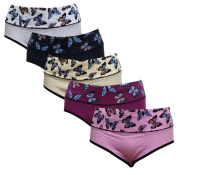 Obrázek k výrobku Pesail Dámské bavlněné kalhotky s vysokým pasem YW4163,5 barev v balení  - 3x-L,4x-2XL, 5x-3XL