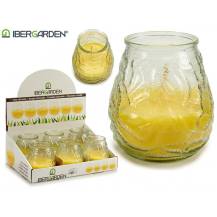 Obrázek k výrobku Atre IBERGARDEN citronová svíčka ve skle 18 hodin  - odpuzuje hmyz 