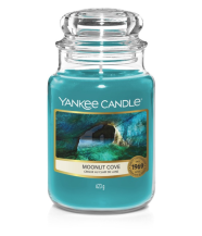 Obrázek k výrobku Yankee Candle vonná svíčka ve skle 623g Moonlit Cove